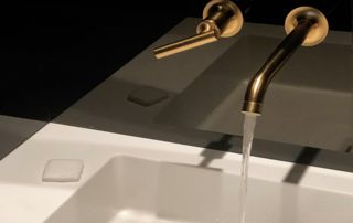 gouden-kraan-lopen-water